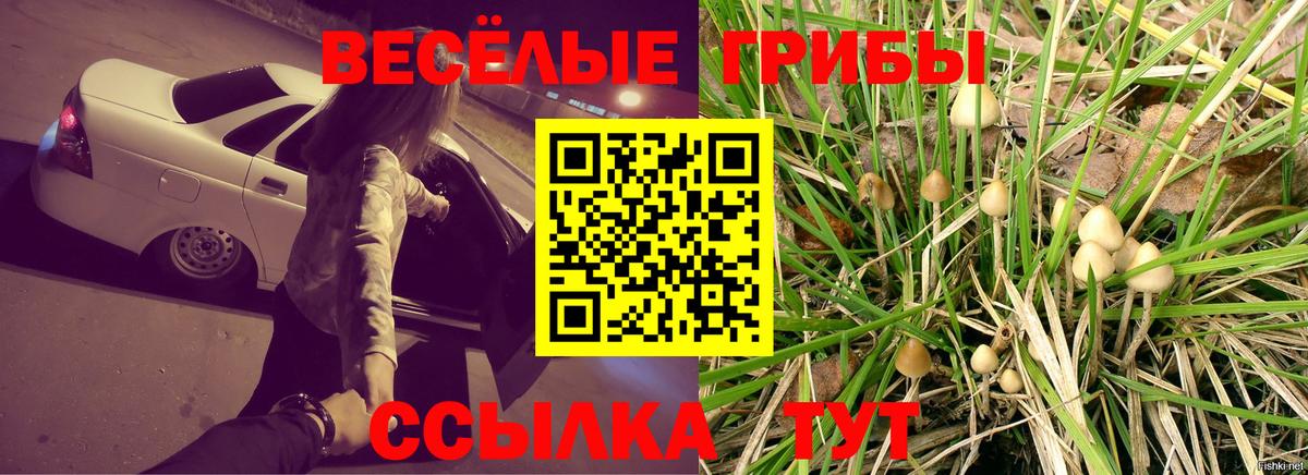 Псилоцибиновые грибы прущие грибы  Вход с VPN  Костомукша 