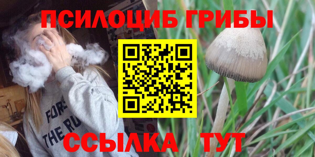 Галлюциногенные грибы Magic Shrooms Костомукша
